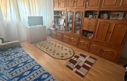 Apartament de vânzare, 48 mp, zona Craiovița Nouă