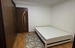 Garsonieră de vânzare, 25 mp, zona Lăpuș-Argeș
