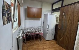 Garsonieră de vânzare, 25 mp, zona Lăpuș-Argeș