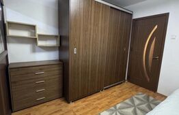 Garsonieră de vânzare, 25 mp, zona Lăpuș-Argeș