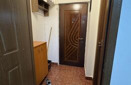 Garsonieră de vânzare, 25 mp, zona Lăpuș-Argeș