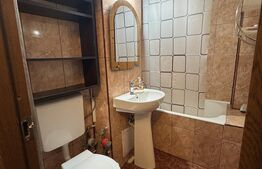 Garsonieră de vânzare, 25 mp, zona Lăpuș-Argeș