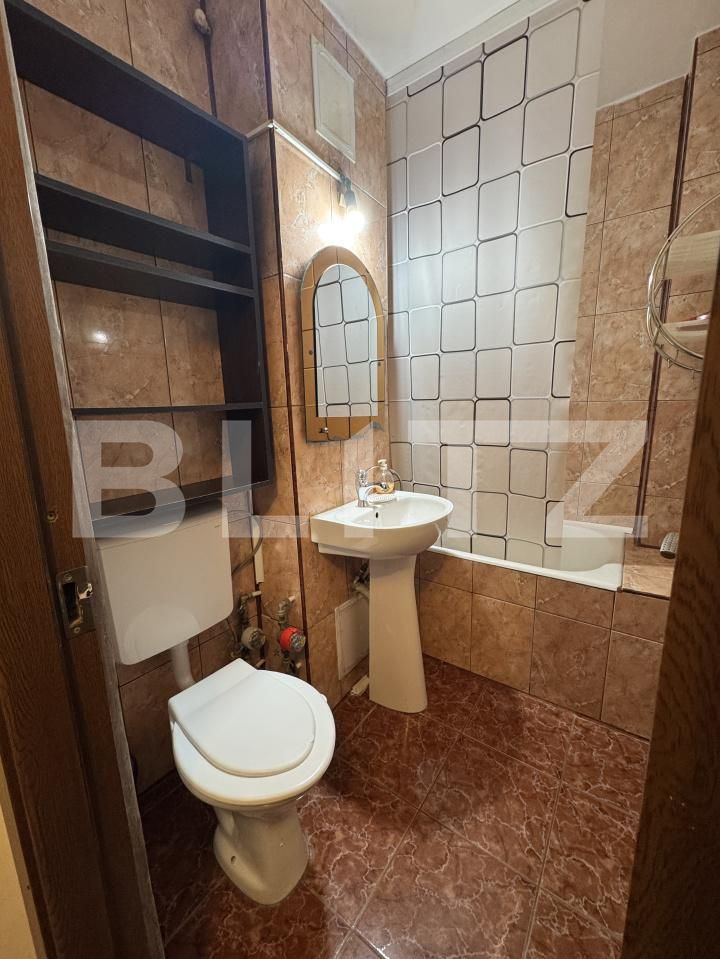 Garsonieră de vânzare Lapus Arges - 209200AV | BLITZ Craiova | Poza3