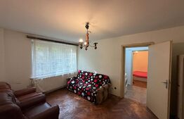 Apartament 2 camere 50 mp, Brazda ,parter