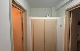 Apartament 2 camere 50 mp, Brazda ,parter