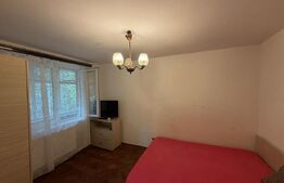 Apartament 2 camere 50 mp, Brazda ,parter