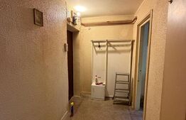 Apartament 2 camere 50 mp, Brazda ,parter