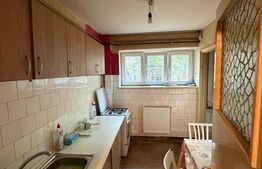Apartament 2 camere 50 mp, Brazda ,parter