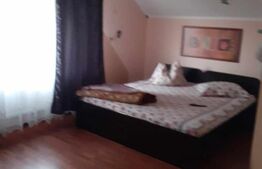 Pensiune de vânzare în Craiova – 260 mp, 8 camere!