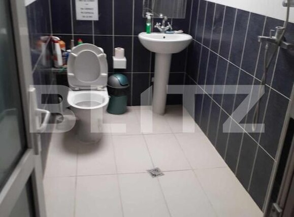 Casa de vânzare 9 camere Valea Rosie - 209281CV | BLITZ Craiova | Poza3