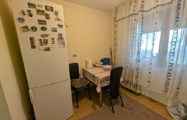 Apartament 2 camere, 46 mp, zona Lăpuș