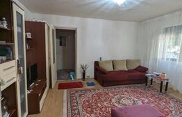 Apartament 2 camere, 46 mp, zona Lăpuș