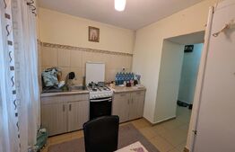 Apartament 2 camere, 46 mp, zona Lăpuș