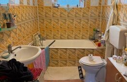 Casă de vânzare, Dabuleni Dolj + 2 ha teren