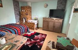 Casă de vânzare, Dabuleni Dolj + 2 ha teren