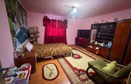 Casă de vânzare, Dabuleni Dolj + 2 ha teren
