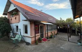 Casă de vânzare, Dabuleni Dolj + 2 ha teren