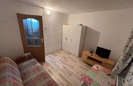 Garsonieră de vânzare Valea Rosie - 209640AV | BLITZ Craiova | Poza1