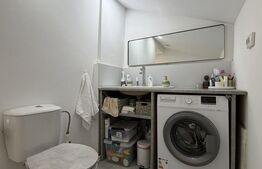 Casă pe parter mobilata utilata, 164 mp teren, Brestei