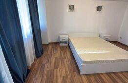 Apartament cu 2 camere, 53 mp, zona Calea Severinului