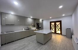 Casă 354 mp utili, cu hală 228 mp, teren 1.881 mp, Malu Mare