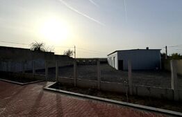 Casă 354 mp utili, cu hală 228 mp, teren 1.881 mp, Malu Mare