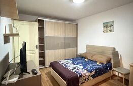 Garsonieră de vânzare Brazda lui Novac - 209586AV | BLITZ Craiova | Poza2