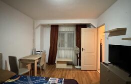 Garsonieră de vânzare, 24 mp, zona Valea Roșie