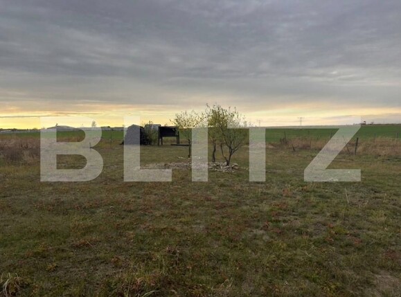 Teren de vânzare Pielești - 209457TV | BLITZ Craiova | Poza2