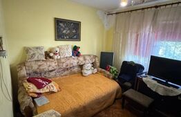 Apartament 2 camere, 43 mp, zona Brazda lui Novac