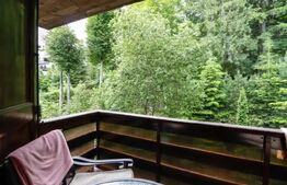 Apartament 3 camere, 46.40mp, Sinaia
