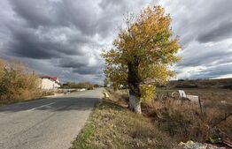 Teren intravilan, 2339 mp, zona Predesti