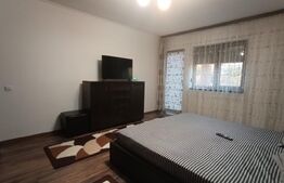 CASA P+1 de vânzare, 160 mp, zona Lăpuș