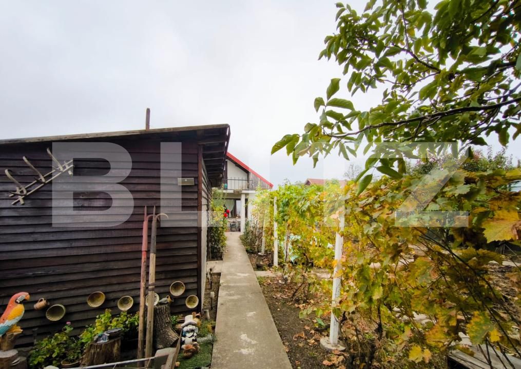 Casa de vânzare 7 camere Romanesti - 209550CV | BLITZ Craiova | Poza18