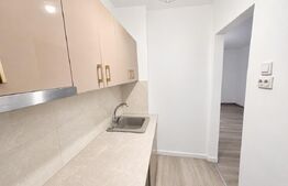 Garsonieră de vânzare, 29 mp, zona Brazda lui Novac