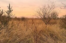 Teren de vânzare Cosoveni, Craiova