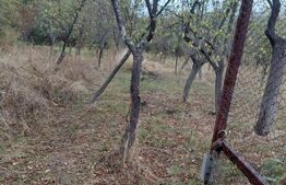 Casă de vânzare, 43 mp, zona Carpen