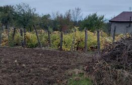 Casă de vânzare, 43 mp, zona Carpen