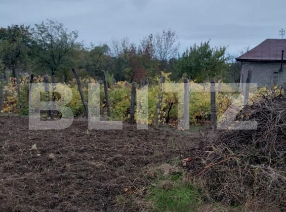 Casa de vânzare 2 camere Exterior Vest - 209617CV | BLITZ Craiova | Poza12