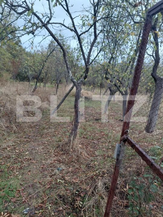 Casa de vânzare 2 camere Exterior Vest - 209617CV | BLITZ Craiova | Poza11
