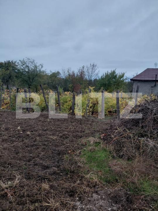 Casa de vânzare 2 camere Exterior Vest - 209617CV | BLITZ Craiova | Poza12
