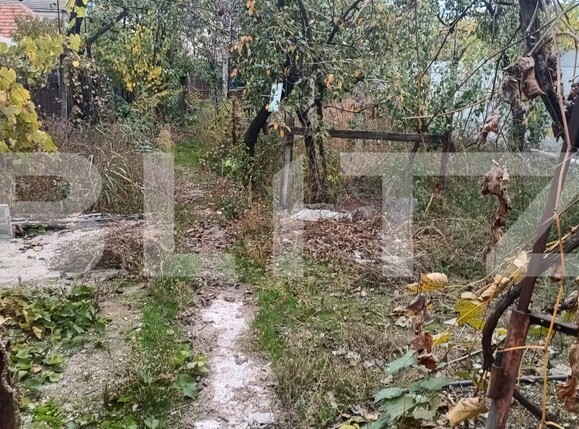 Casa de vânzare 3 camere Romanesti - 209621CV | BLITZ Craiova | Poza2