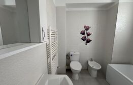 Apartament de vânzare, 39 mp, zona Nord