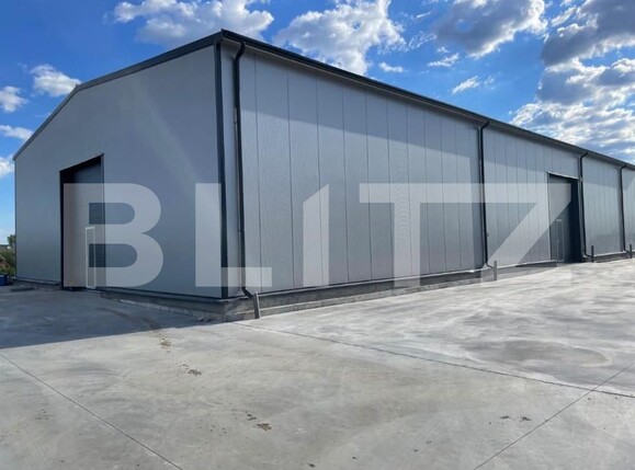 Spațiu industrial de închiriat Exterior Est - 209632SII | BLITZ Craiova | Poza3