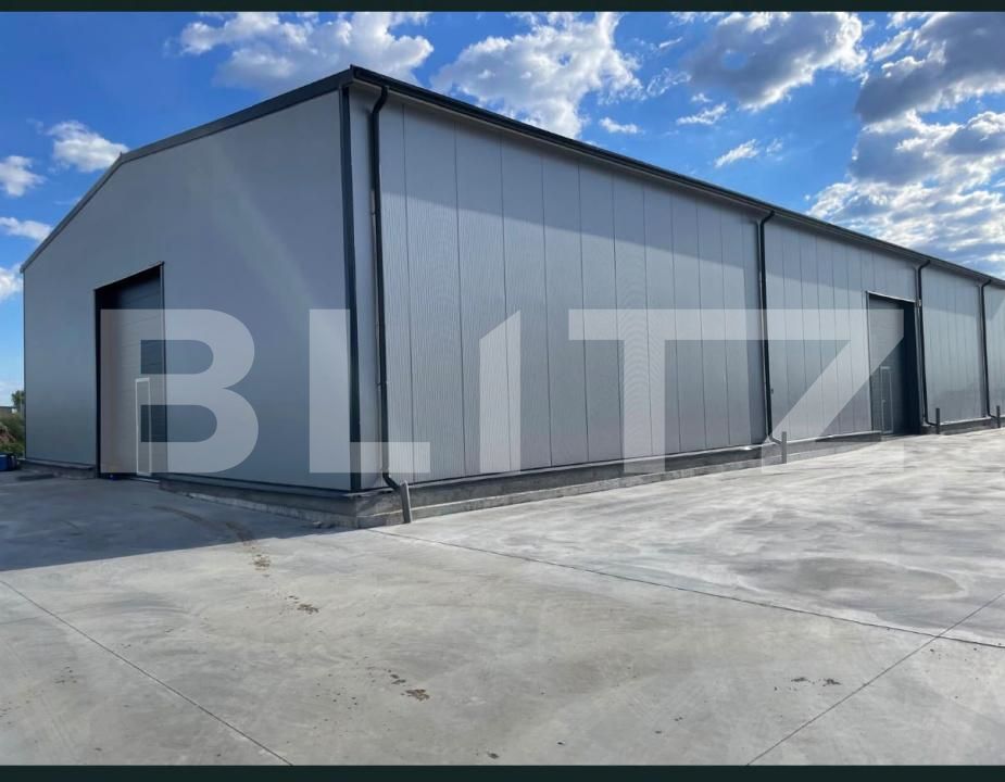 Spațiu industrial de închiriat Exterior Est - 209632SII | BLITZ Craiova | Poza3