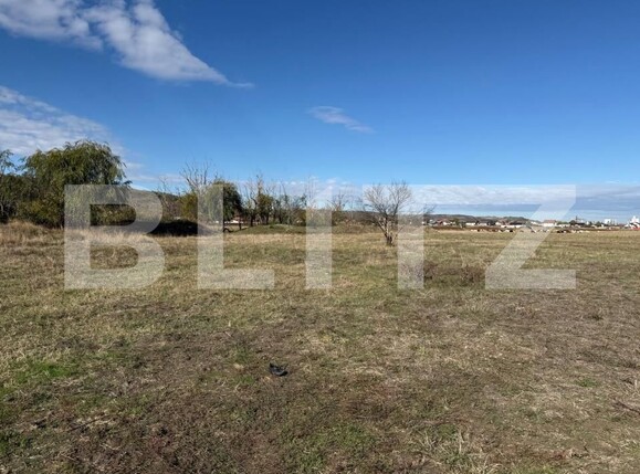 Teren de vânzare Exterior Sud - 209636TV | BLITZ Craiova | Poza1