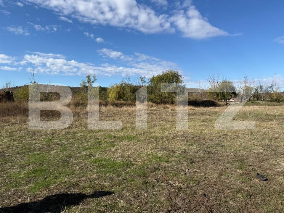 Teren de vânzare Exterior Sud - 209636TV | BLITZ Craiova | Poza4