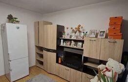 Cameră de cămin, 19.80 mp, zona Valea Roșie