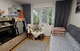 Garsonieră de vânzare Valea Rosie, Craiova