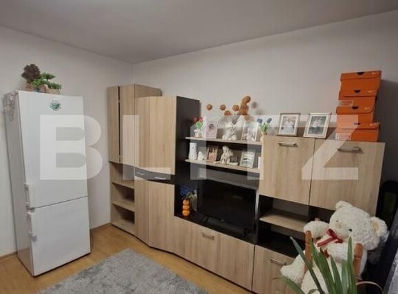 Garsonieră de vânzare Valea Rosie - 209640AV | BLITZ Craiova | Poza3